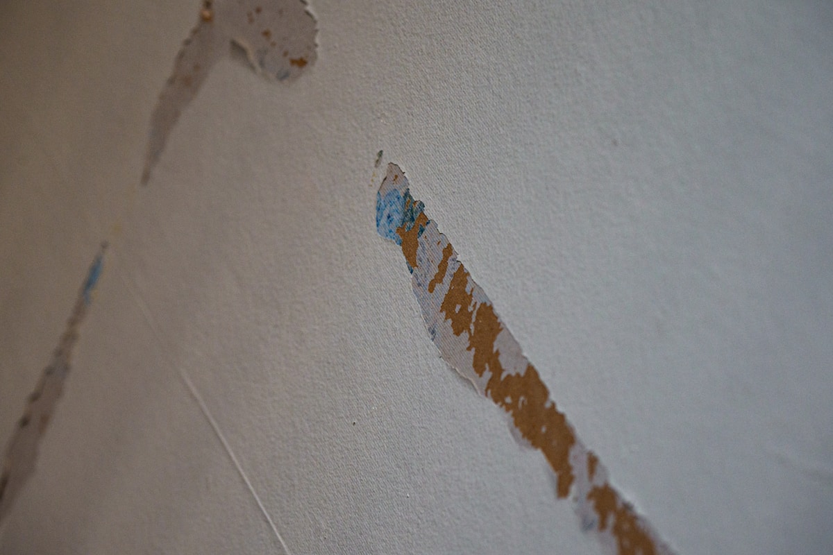 Mold Remediation service in Alexandria, LA